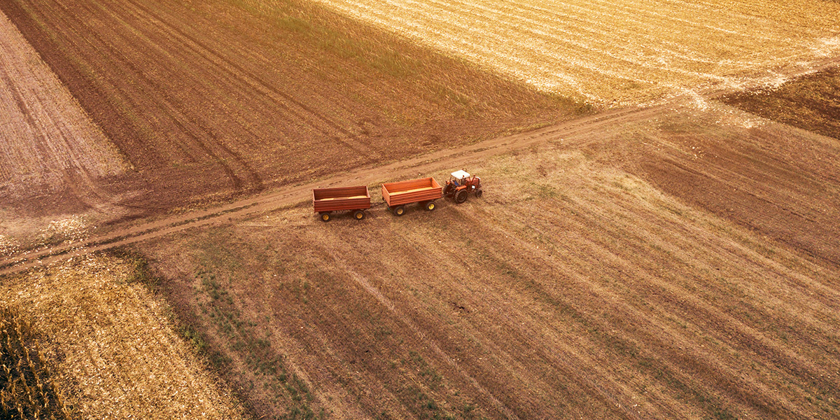 How to improve soil quality and quality of garden crops
